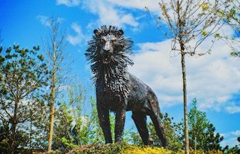 Rüyada Aslan Görmek Ne Anlama Gelir?