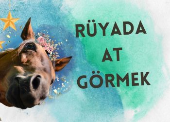 Rüyada At Görmek