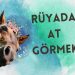 Rüyada At Görmek