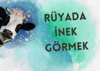 Rüyada Inek Görmek